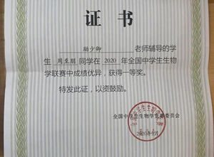 1653725312117820.jpg image055.jpg